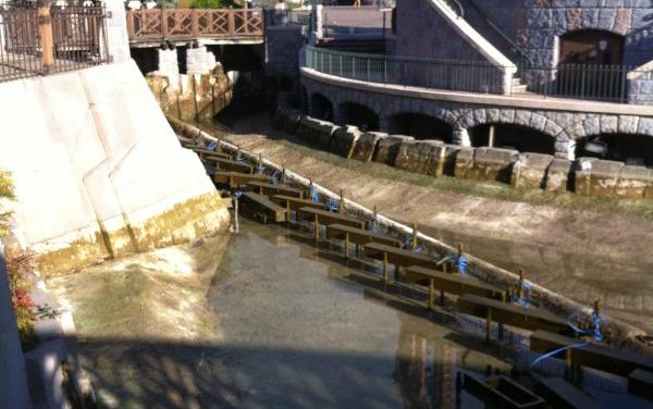 De très bonnes nouvelles en provenance de Disneyland Paris.