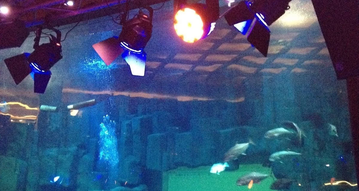 L’Aquarium de Paris lance son nouveau site Internet cineaqua.com