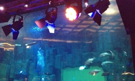 L’Aquarium de Paris lance son nouveau site Internet cineaqua.com