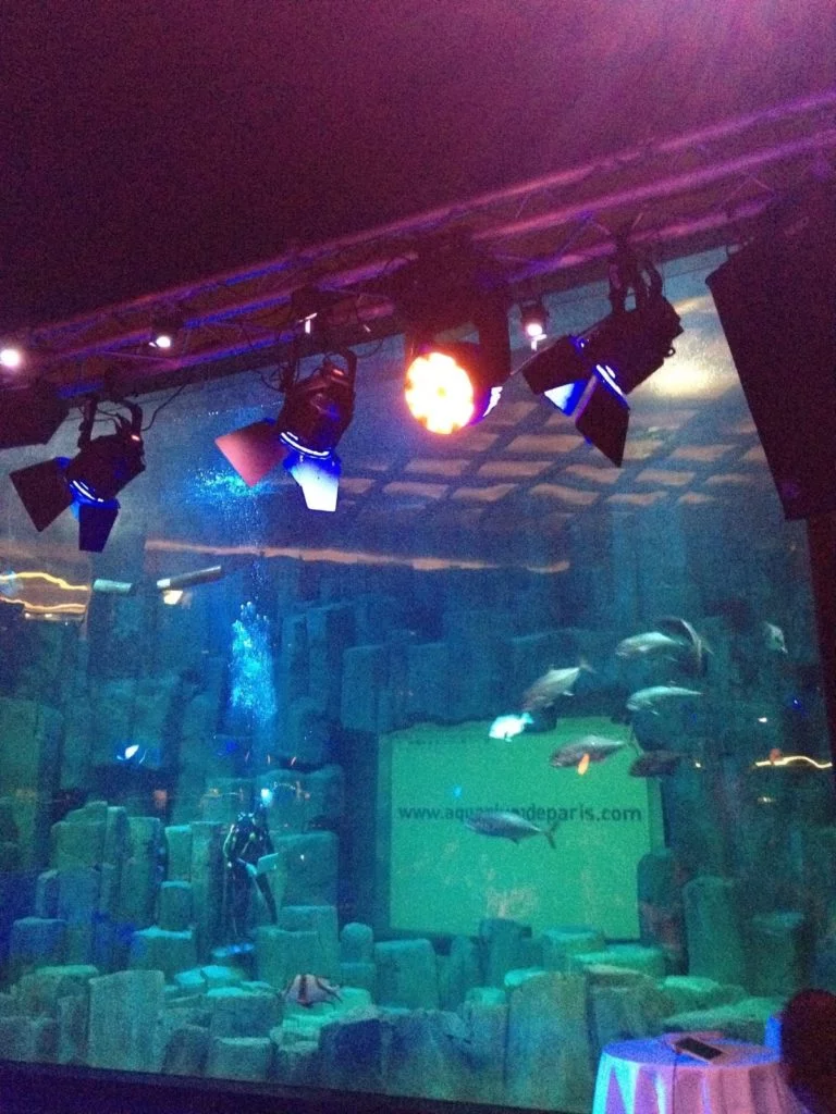 Aquarium de Paris - Plongeur