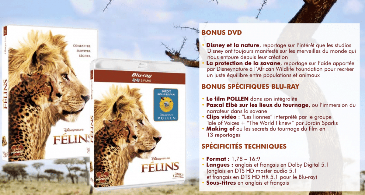 Disneynature FELINS – Sortie le 5 juin en Blu-ray, DVD, VOD et téléchargement définitif. En prime le film Pollen.