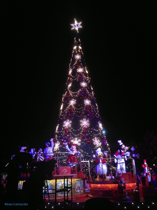 Noel-Disneyland - Le sapin de Noël