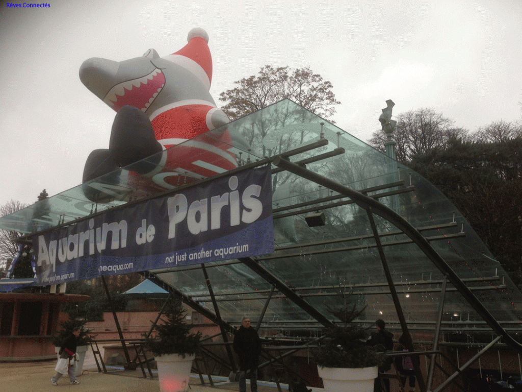 Noel-2012-Aquarium-de-Paris-3155