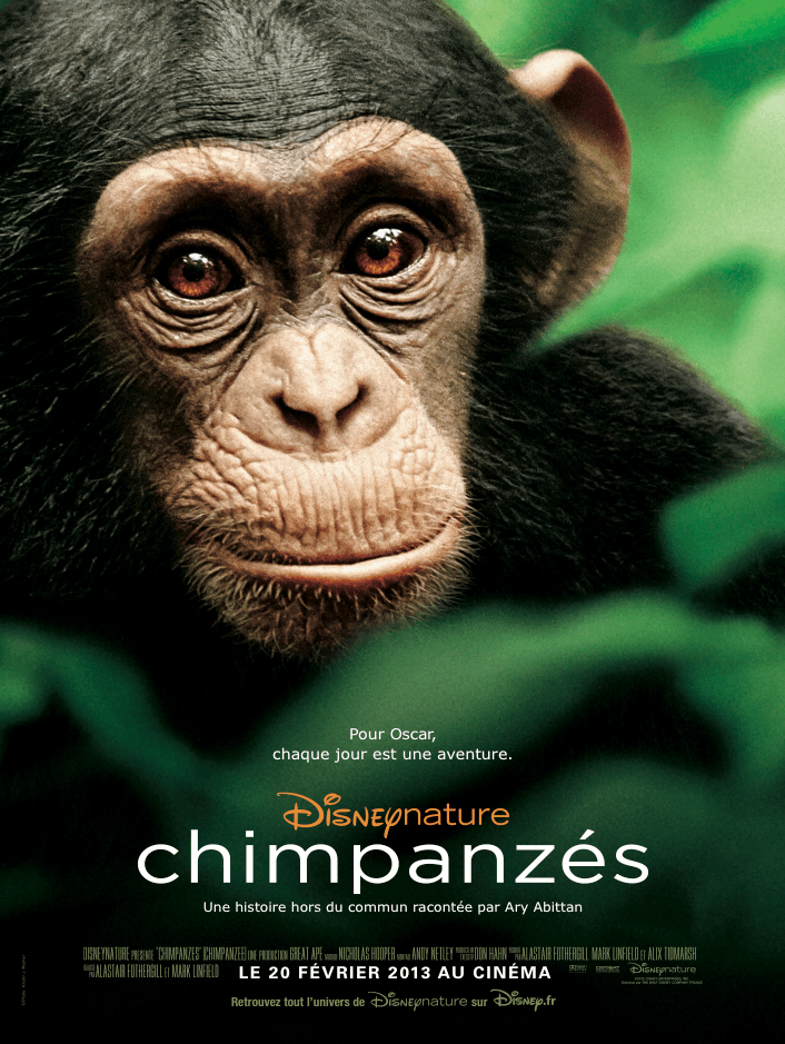 Chimpanzes - Chimpanzes - Affiche francaise