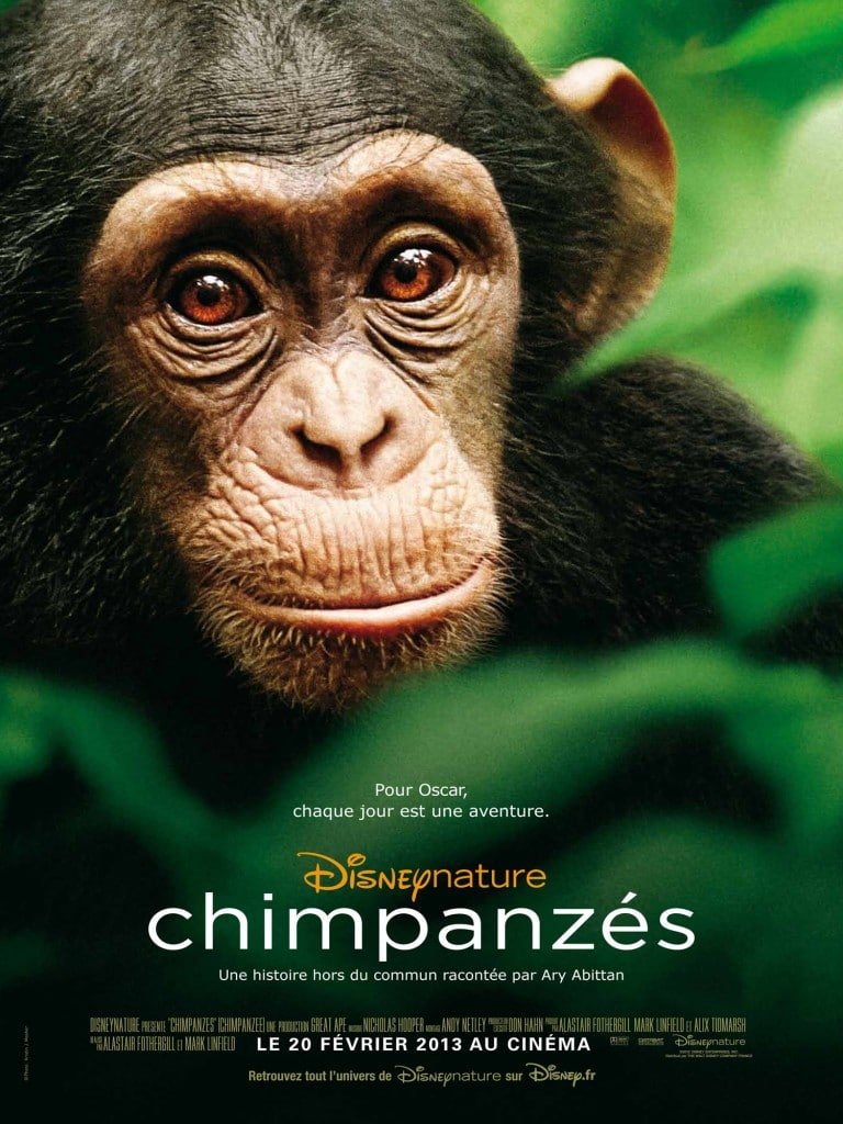 Disneynature Chimpanzés - Affiche