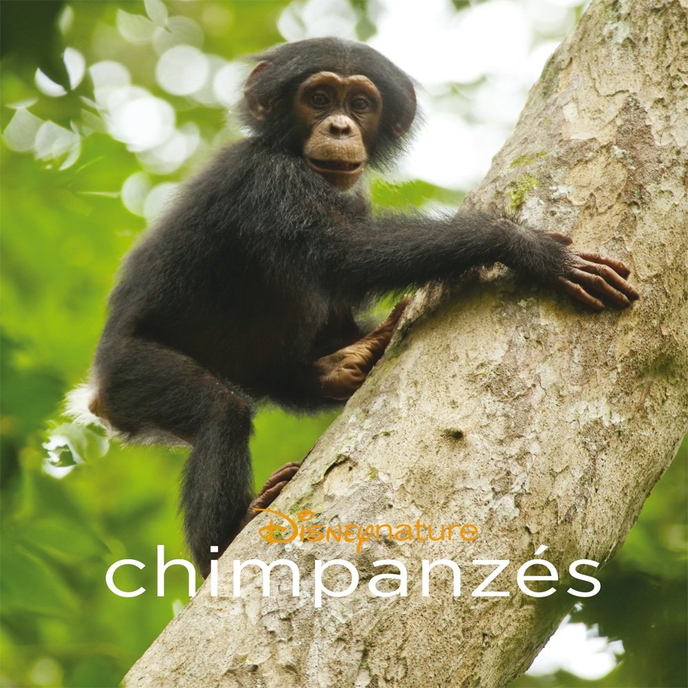 Disneynature Chimpanzés - Livres Monde enchanté
