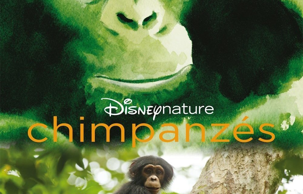 Chimpanzés de Disneynature, gagnez des goodies du film et des places de cinéma, à l’occasion de sa sortie en salles le 20 février 2013.