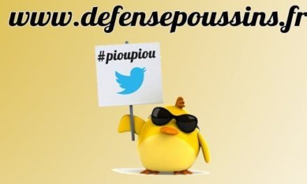 Mobilisons nous pour l’entrepreneuriat (bis) avec “#PiouPiou ! L’appel des poussins !”