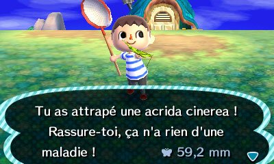 Nintendo3DS_AnimalCrossing_hunting_Catching-bugs-FR
