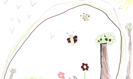 Tetra Pak, WWF et le FSC proposent aux enfants de dessiner leur Forêt idéale dans le cadre de l’opération «Renouvelable par Nature». «vidéo sponsorisée»