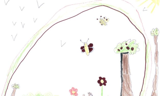 Tetra Pak, WWF et le FSC proposent aux enfants de dessiner leur Forêt idéale dans le cadre de l’opération «Renouvelable par Nature». «vidéo sponsorisée»