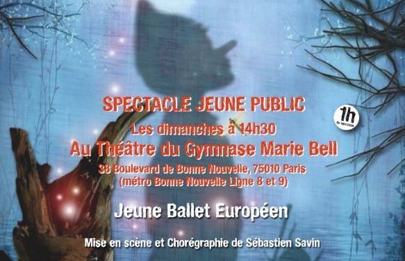 Découvrez le « Jeune Ballet Européen » avec « Pinocchio le musical » et « PUZZLE » au Théâtre Gymnase Marie Bell dès le 9 Mars 2014.