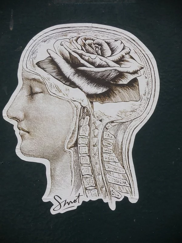 Cerveau de rose, Cerveau parisien. Smot Flickr CC - Jeanne Menj