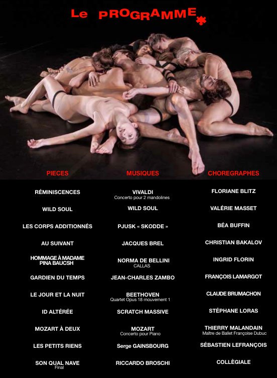 Jeune-Ballet-Europeen-Puzzle-Programme2