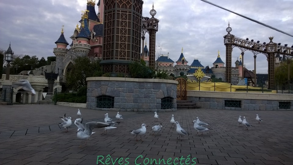 Noel 2014 Disneyland Paris Reine des Neiges Merida Rebelle_20141111_047