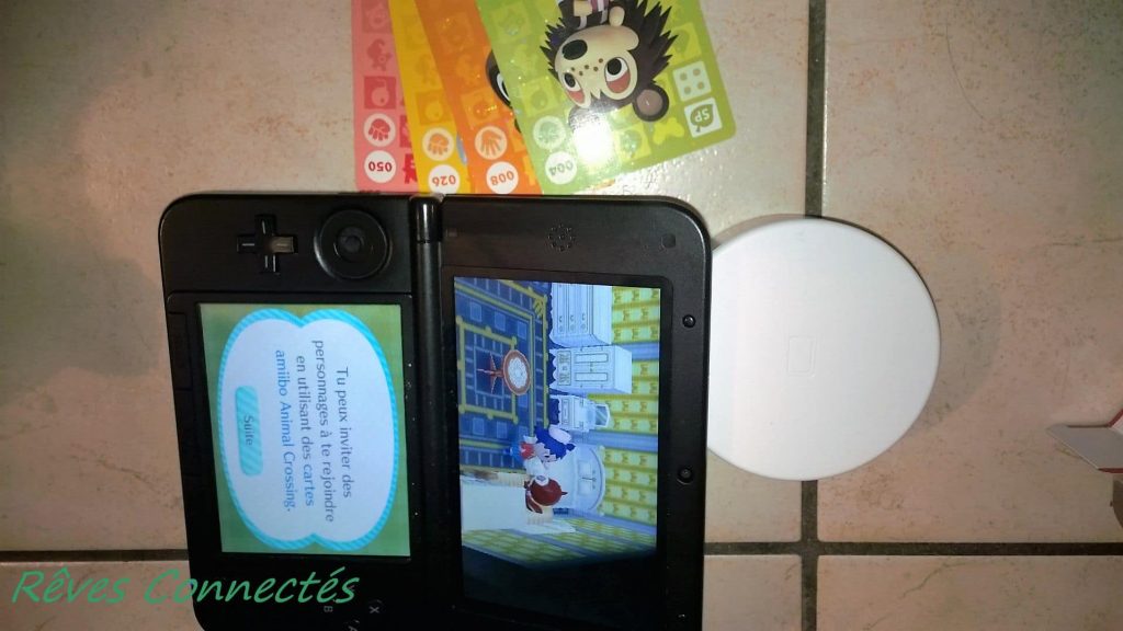 Découverte en famille d'Animal Crossing Happy Home Designer sur Nintendo 3DS. 177
