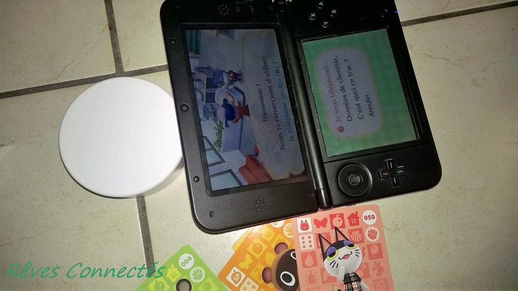 Découverte en famille d'Animal Crossing Happy Home Designer sur Nintendo 3DS. 183