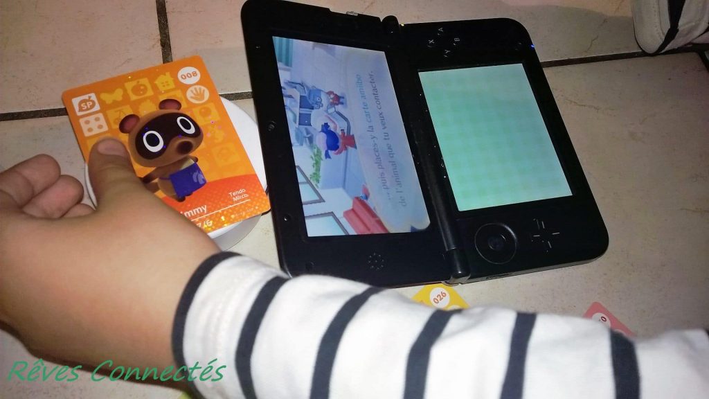 Découverte en famille d'Animal Crossing Happy Home Designer sur Nintendo 3DS. 186