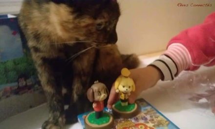 (Podcast) Épisode 37 : Test en famille d’Animal Crossing Amiboo Festival sur Wii U.