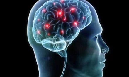 Le cerveau – Le Traumatisme crânien : L’affectif est ce qui est le plus consolidé dans la mémoire.