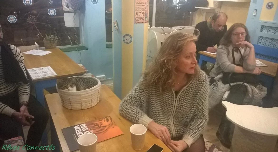 Rencontre avec Julie Ferrier au Chat Mallows Café à l’occasion de la BIG CAT WEEK de Nat Geo Wild.