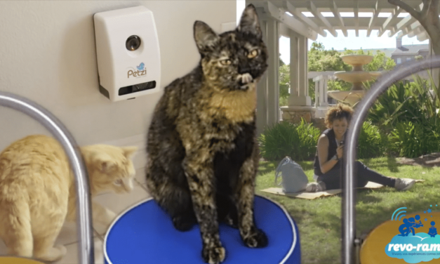 Le Revo-Rama teste les objets connectés pour les chats ! (vidéo)