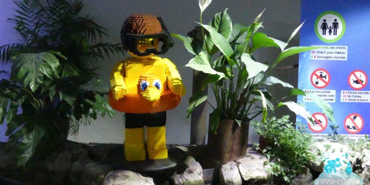 Les LEGO prennent le contrôle de l’Aquarium de Paris.