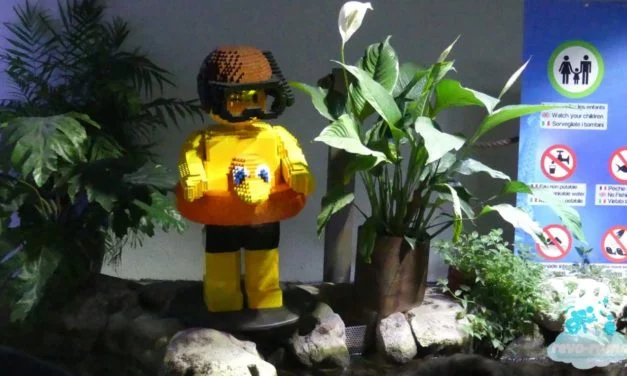 Les LEGO prennent le contrôle de l’Aquarium de Paris.