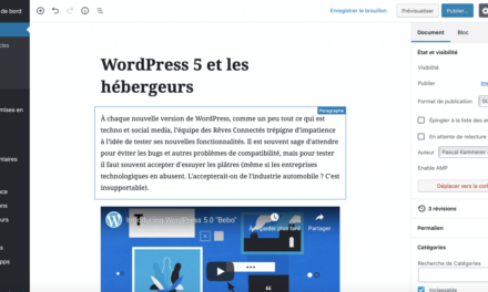 WordPress 5, Gutenberg et les hébergeurs. WP Serveur : Faut-il opter pour un spécialiste WordPress ?