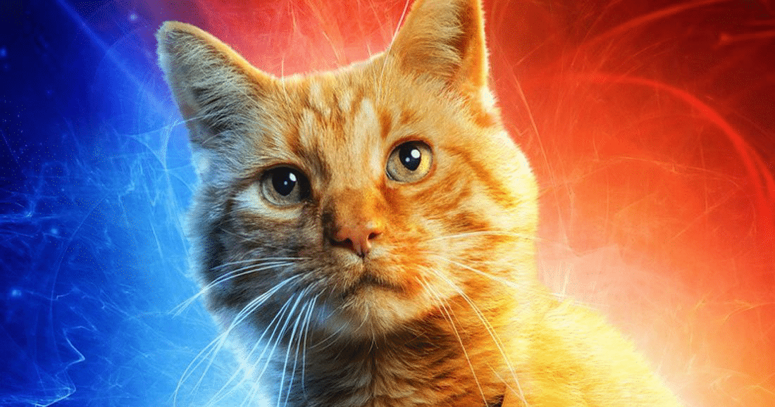 Captain Marvel : La solution de Nick Fury pour sauver l’univers du sombre dessein décidé par Thanos ? Notre avis sur le film le plus féministe de la saga des Avengers.